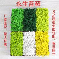 uploads/erp/collection/images/Home Garden/dgjiawang/XU0612748/img_b/XU0612748_img_b_1